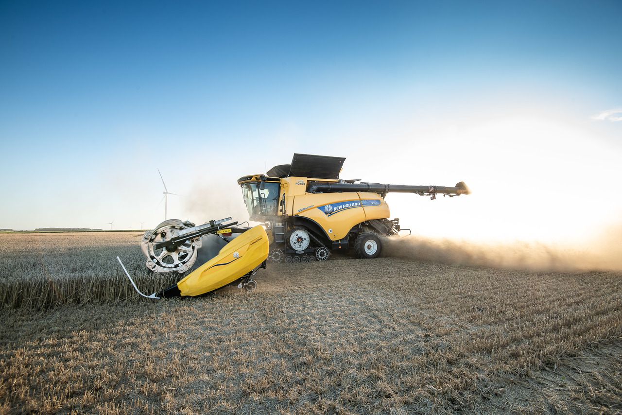 HEDERE DRAPER - imagine 3