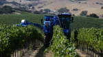 COMBINE STRUGURI BRAUD 9090X - imagine 3