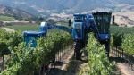 COMBINE STRUGURI BRAUD 9090X - imagine 4