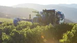 COMBINE STRUGURI BRAUD 9090X - imagine 5