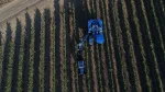 COMBINE STRUGURI BRAUD 9090X - imagine 7